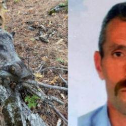 Erzincan'da domuz saldırısı: 1 ölü! 