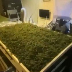 65 ilde uyuşturucu operasyonu: Bakan Yerlikaya paylaştı! 768 gözaltı