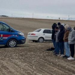 Horoz, kaz derken sıra köpeklere geldi: 19 kişi hakkında işlem yapıldı!