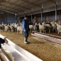Babasıyla ettiği kavga, kaderini bambaşka bir yere sürükledi