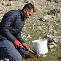 Küresel ısınmaya dikkat çekti! 2 yılda 20 binden fazla tohum ekip, fidan dikti