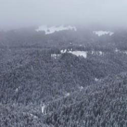 Kartpostallık manzara: Ilgaz Dağı beyaza büründü
