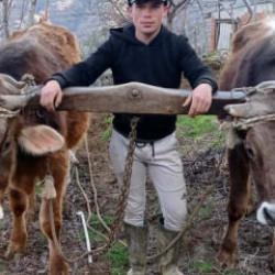 Aydın'da aile içi cinayet: 22 yaşındaki genç öldürüldü 