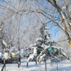 Elazığ'da termometreler eksi 22'yi gösterdi