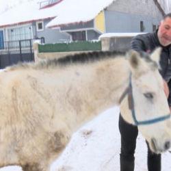 Muş'ta kışın ölüme terk edilen canlara sahip çıkıyor