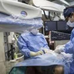 Türkiye'de 2025 yılında 5 bin 95 organ nakli ile binlerce hasta şifa buldu