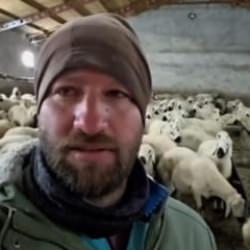 Sivas'a lapa lapa kar yağdı: Değmeyin çobanın keyfine