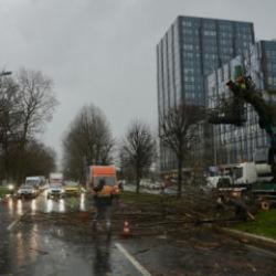 İstanbul'da korkutan anlar: Yoldan geçen araçların üzerine ağaç devrildi!