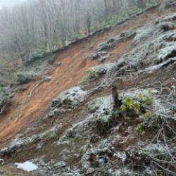 Düzce'de vatandaş diken üstünde: Muhtar köyü terk edin çağrısında bulundu