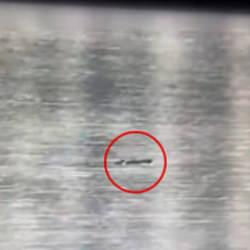 81 ilde düzensiz göçe karşı film gibi operasyon! 