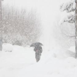 Bingöl kar altında kaldı! Tek bir köy yolu bile açık değil