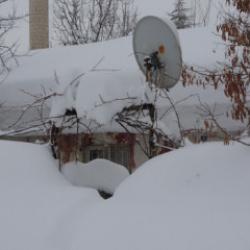 Bitlis'te şaşkına çeviren manzara: Gökten yağan rahmet evleri aştı