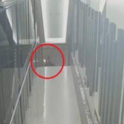 Bursa'da molotoflu saldırı: Suç örgütü üyesi 8 şüpheli yakalandı