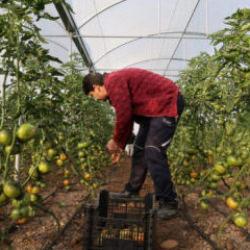Devlet desteğiyle kendi işlerinin sahibi oldular, üretime başladılar