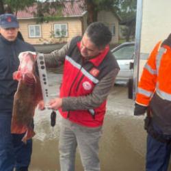 Kocaeli'de yakaladığı 500 kalkan balığının sevinci kursağında kaldı