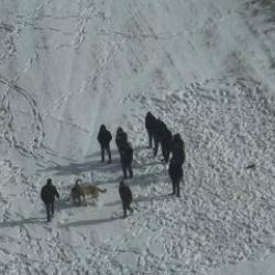 Nevşehir'de köpek dövüştürenlere jandarmadan havadan baskın