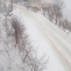 Ordu'da kamyon şarampole devrildi! Dehşete düşüren anlar kamerada