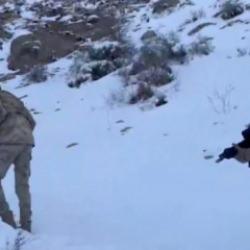 SON DAKİKA: Hakkari'de dev operasyon: 860 kilogram uyuşturucu ele geçirildi