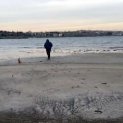 Tekirdağ'da denizdeki hareketlilik bölge halkını tedirgin etti