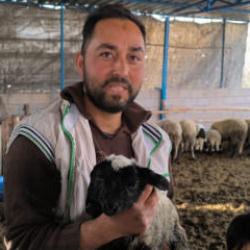 2 kafası, 4 gözü var! Besici gördüğü karşısında şok oldu