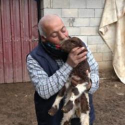 300 hayvanını kaybeden besici devlet desteği ile sayılarını katladı