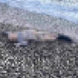 İzmir'de sır olay: Sahile vurmuş çocuk cesedi bulundu