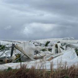 Antalya’yı hortum vurdu: Seralar yerle bir oldu, tekneler parçalandı