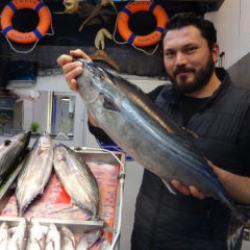 Çanakkale'de torik tezgâhlara geç geldi: Fiyatı duyan iki kez düşündü 