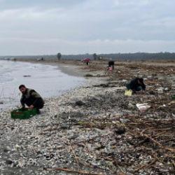 Mersin'de ilginç olay: Duyan duymayana duyurdu! Herkes kıyıya akın etti