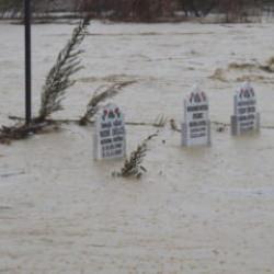 Mezarlığı gören bir daha baktı: Adana'da üzen manzara