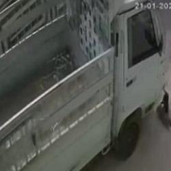 Adana'da iki kediyi ezmişti: Mahkemeden unutulamayacak ceza