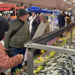Tezgahlarda merakla bekleniyordu: 'Hamsi Türkiye sınırlarına girdi'