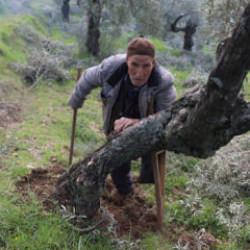 78 yıldır tek bacakla yaşıyor! Mehmet amcanın yaşam azmi ders verdi