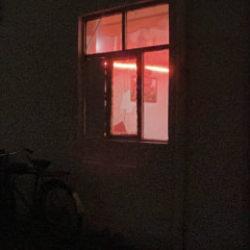 Bursa'da 300 metrelik dehşet! Arkadaşının kafasını kırdı