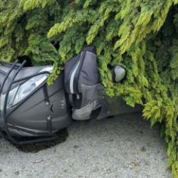 Çanakkale'de fırtınada ağaçlar devrildi, balkon duvarı yıkıldı