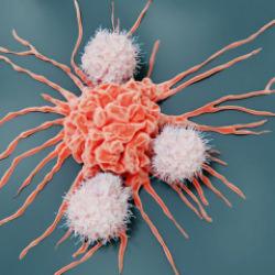 Kansere yol açtığı ortaya çıktı! Tüketmeden önce 1 kez daha düşünün