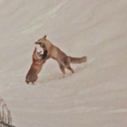 Dron öyle bir görüntü kaydetti ki! İzleyenler tekrar tekrar oynattı