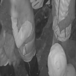 Bunlar nasıl çocuk! Evine giden adama sebepsiz yere tekme tokat saldırdılar