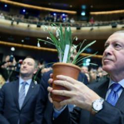 Cumhurbaşkanı Erdoğan'dan ağaç kesen CHP'ye tepki: Lafa gelince çevreciler!