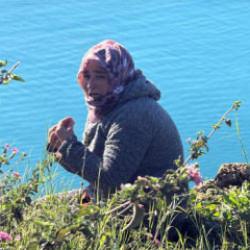 Evladı için falezlere çıkan anne: Hayvanlar bile bırakmıyor yavrularını nasıl bırakayım?