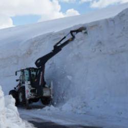 Muş'ta kar kalınlığı 6 metreyi aştı! İşte inanması güç manzara 