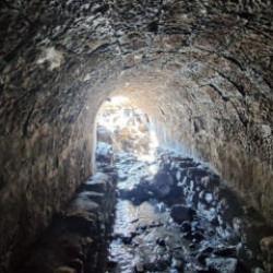 Trabzon'da heyecanlandıran keşif! Türkiye'de bir örneği daha yok