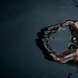 Dev bankadan akılalmaz petrol tahmini: 2008'deki rekoru geçebilir