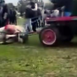 Adana'da insanlığı sorgulatan görüntü: Koşmadığı gerekçesiyle ata eziyet ettiler 