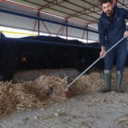 Mühendisliği bırakıp hayvancılığa başladı! Pişmanlık sözleri dikkat çekti