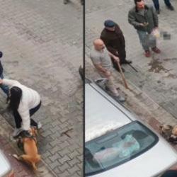 Pitbull saldırısında yeni görüntüler: Sahibinin yaptığı vahşeti getirdi