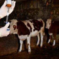 Kütahya'da alarm: 15 köy karantinaya alındı!