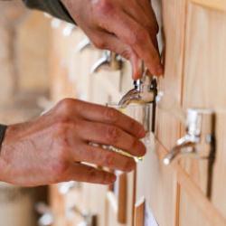 Türkiye’de bir ilk: Raflarından yağ akan kütüphanede 90 çeşit zeytinyağı tadımı