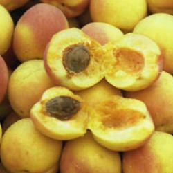 15 senelik ünlü gıda markası iflas etti! Kayısılarıyla nam salmıştı