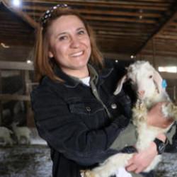 Aldığı devlet desteğiyle 300 keçiyi 1300 keçiye çıkarttı